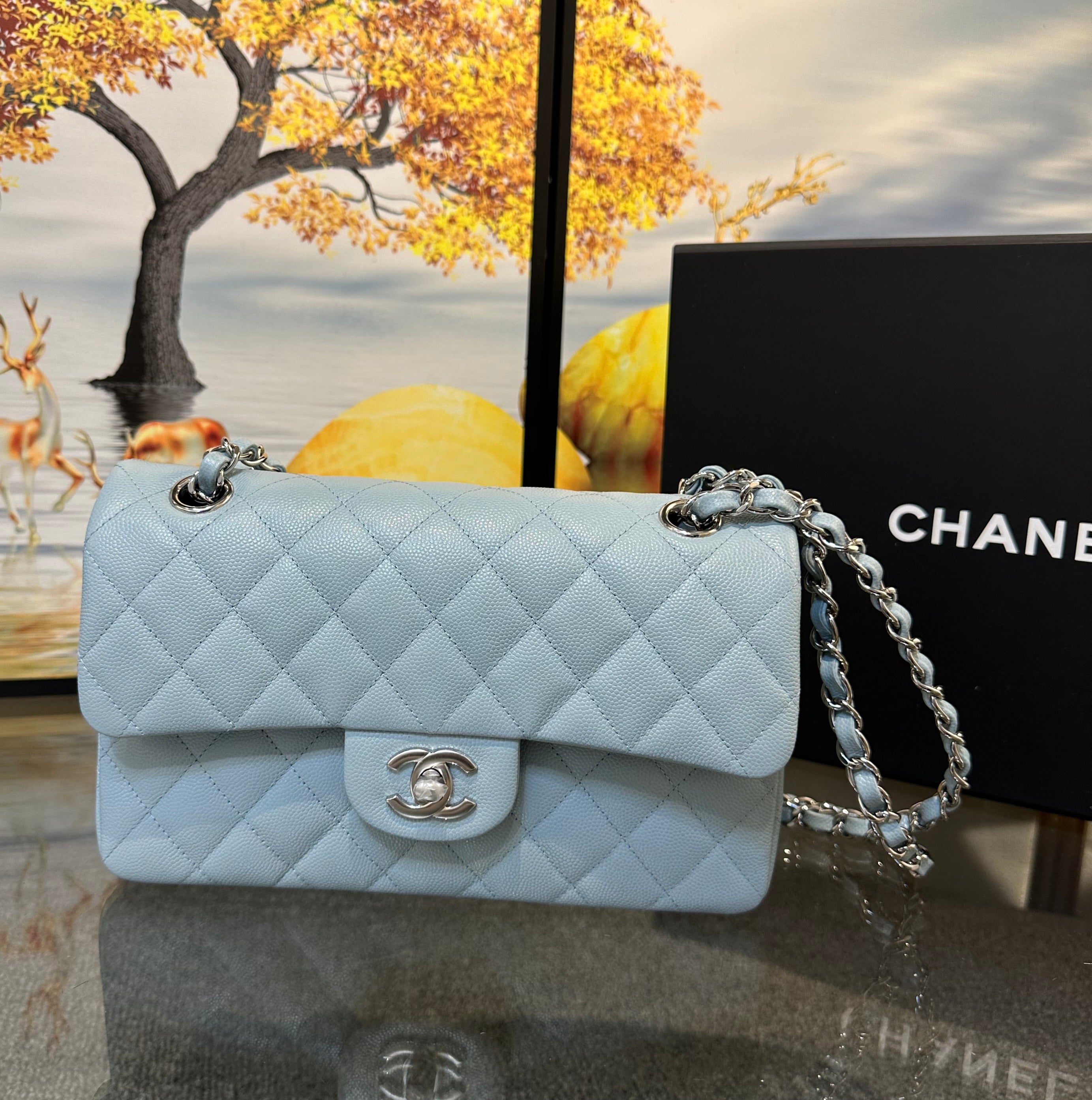 Chanel double flap bag