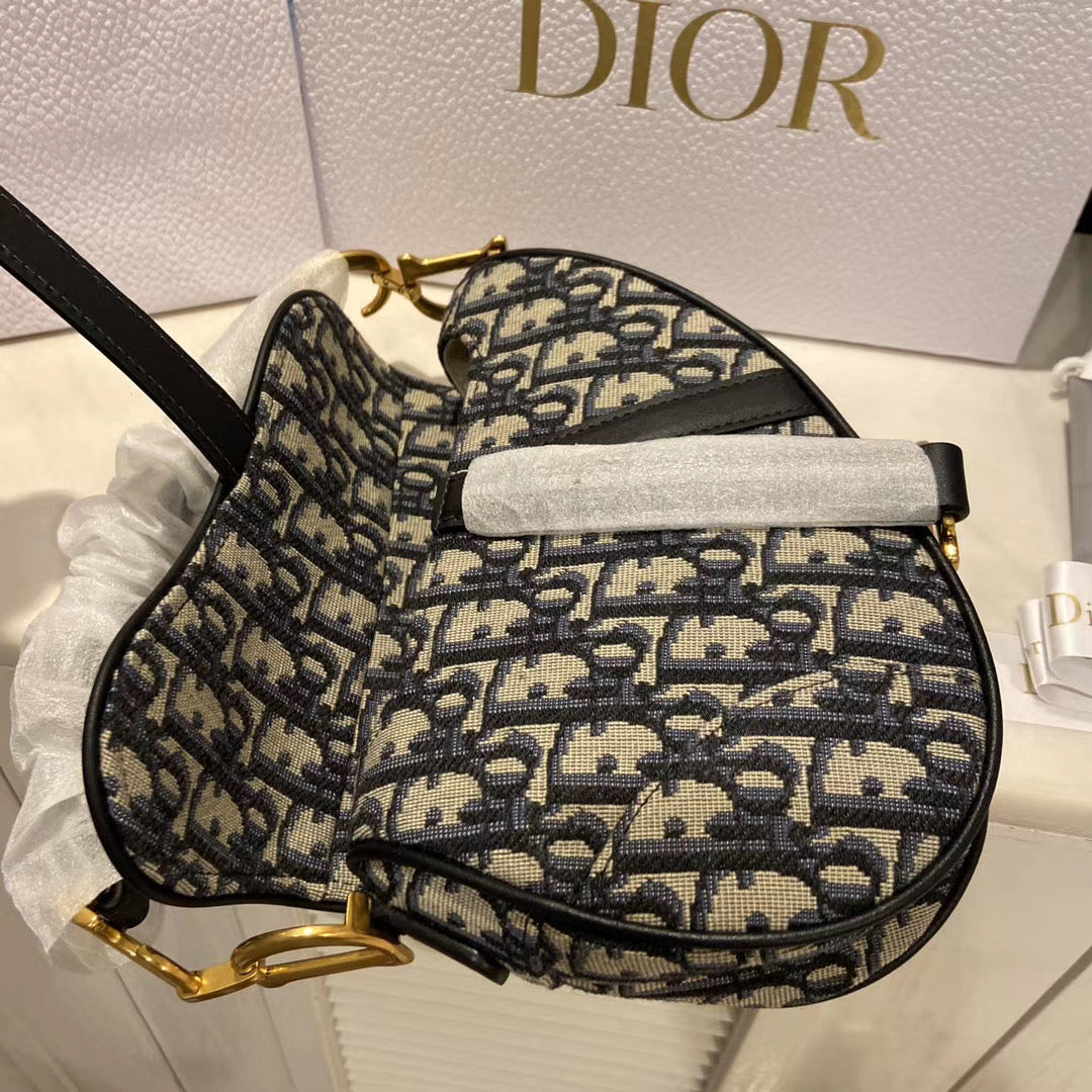 Mini Dior saddle bag