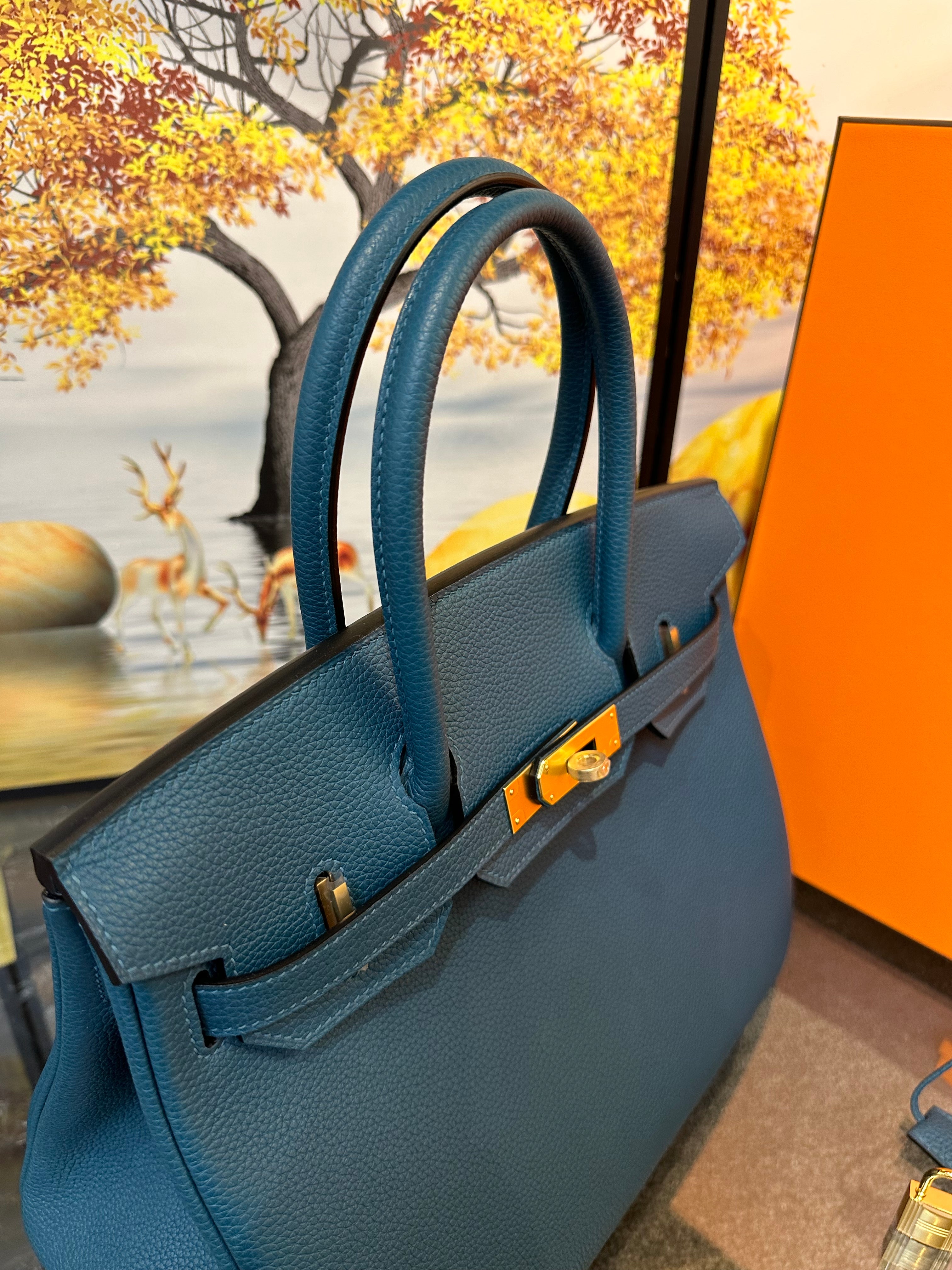 Birkin Togo Cobalt GHW