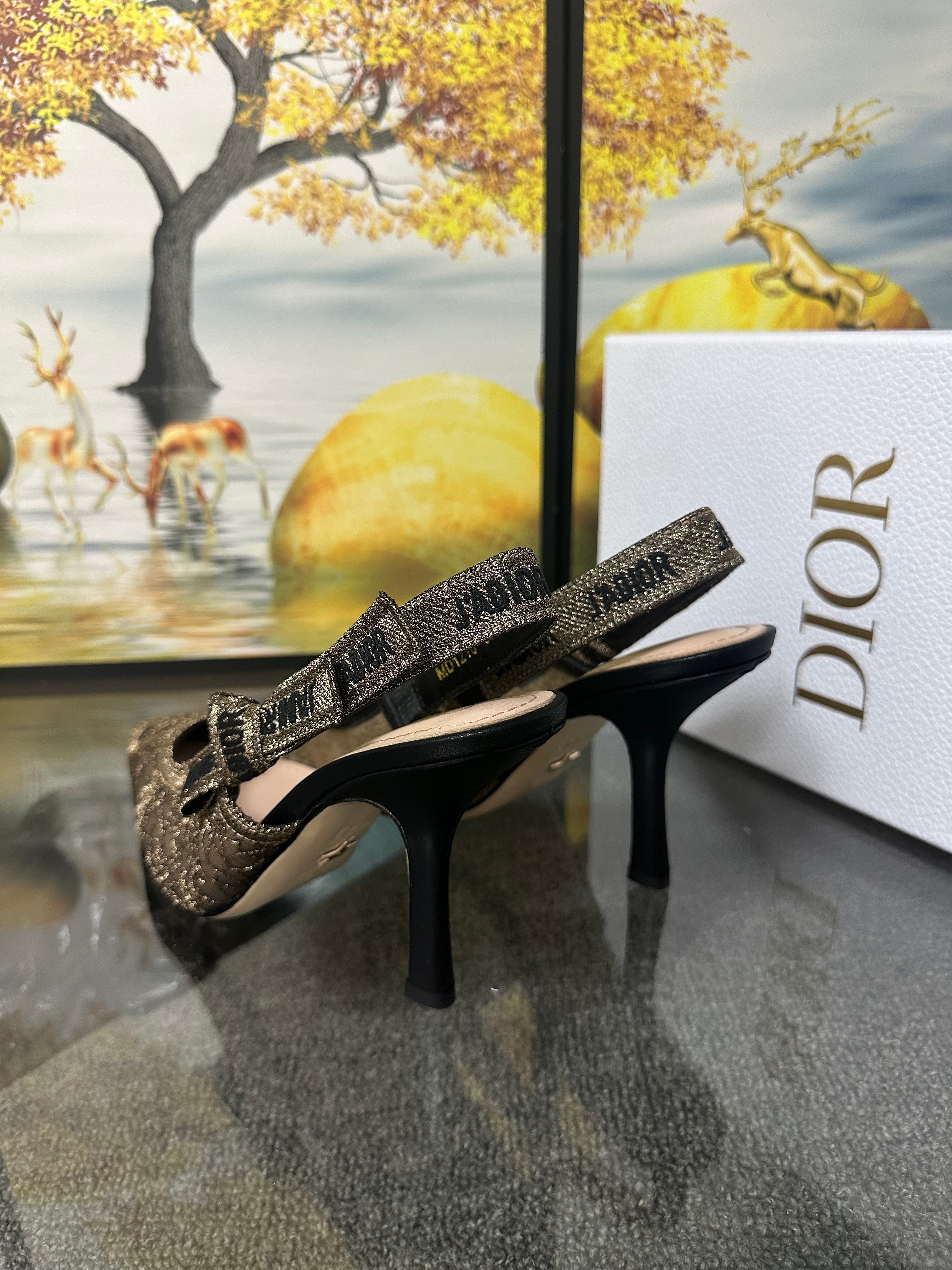 Dior slingback