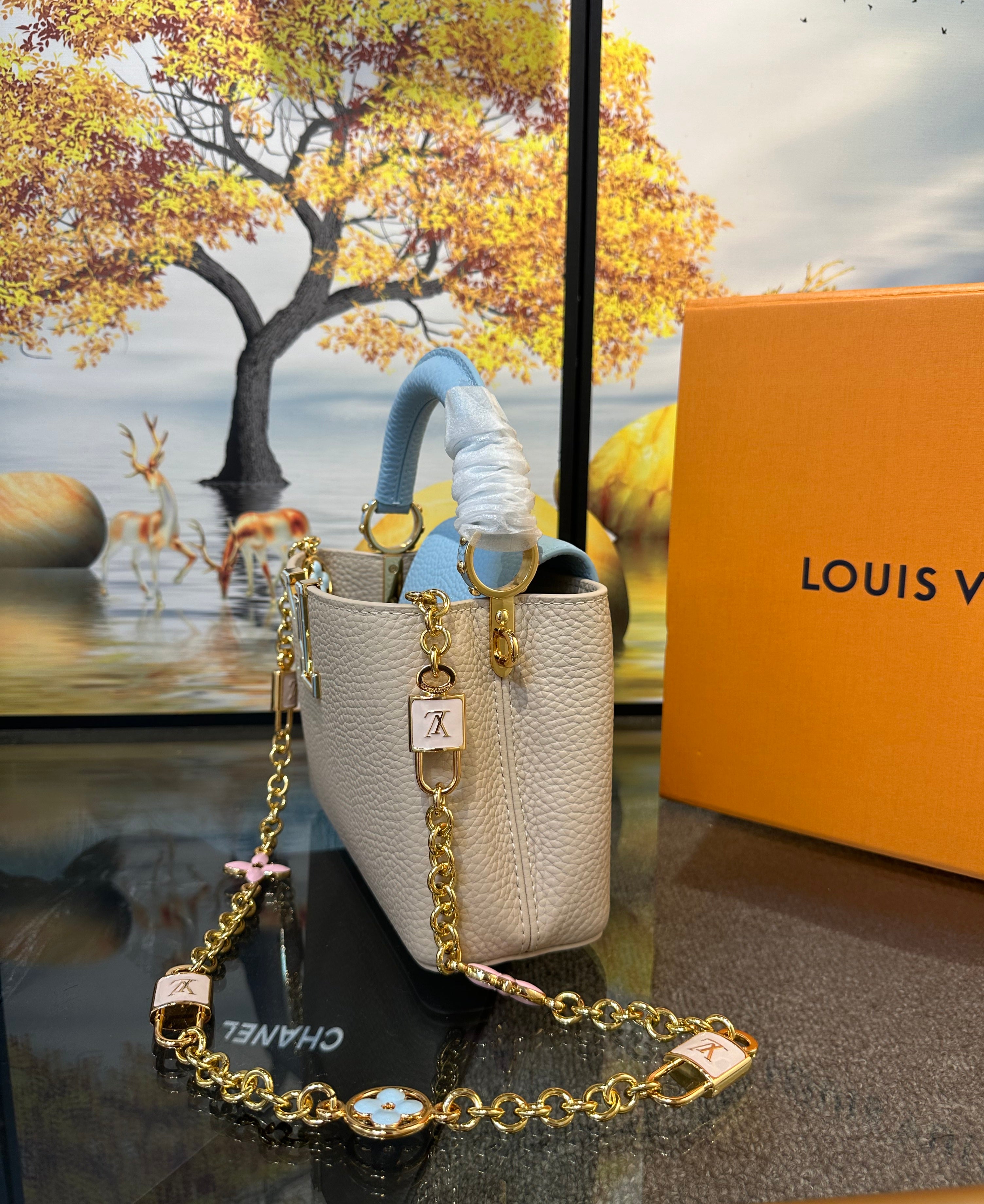 Louis Vuitton capucines mini bag