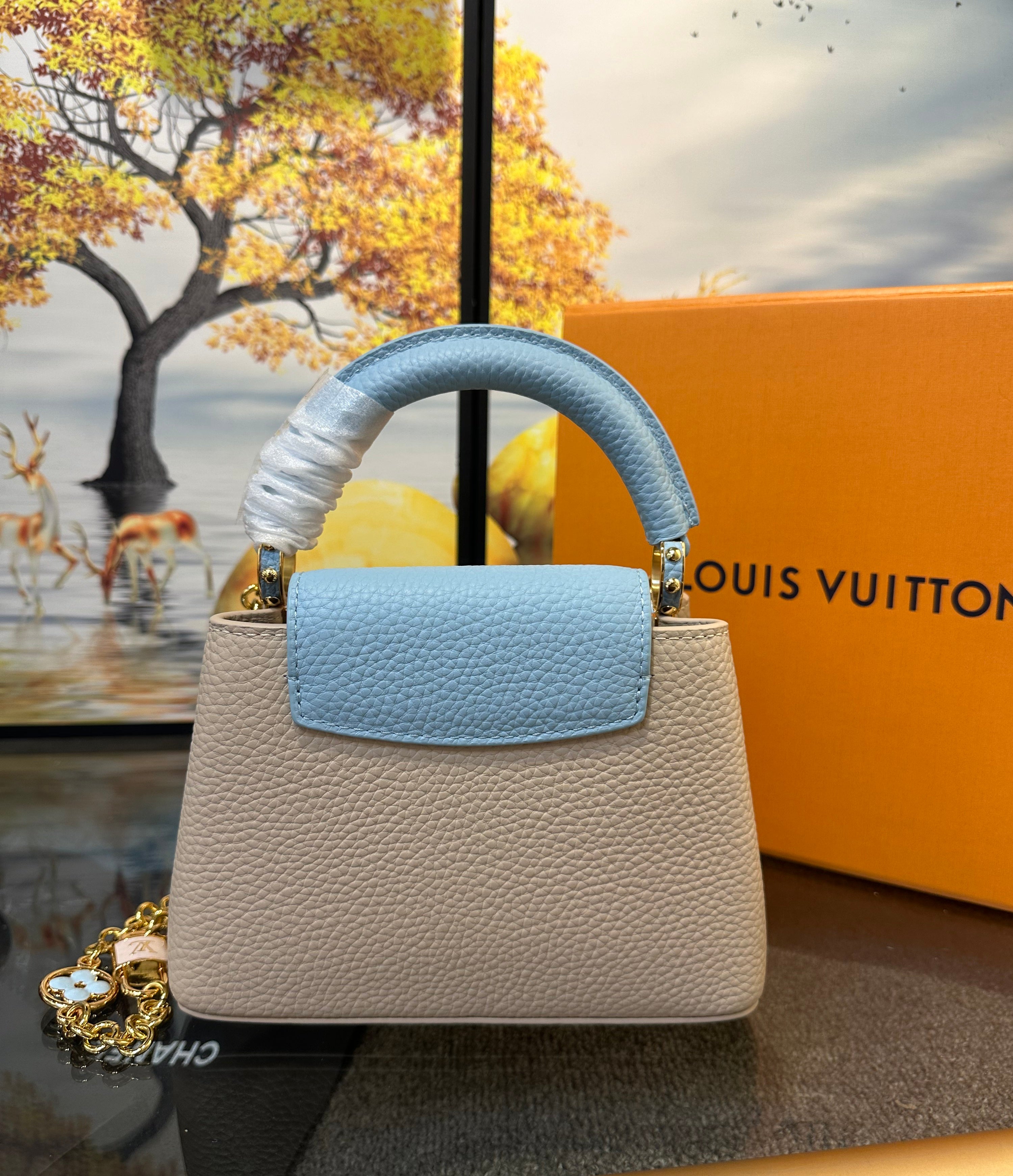 Louis Vuitton capucines mini bag