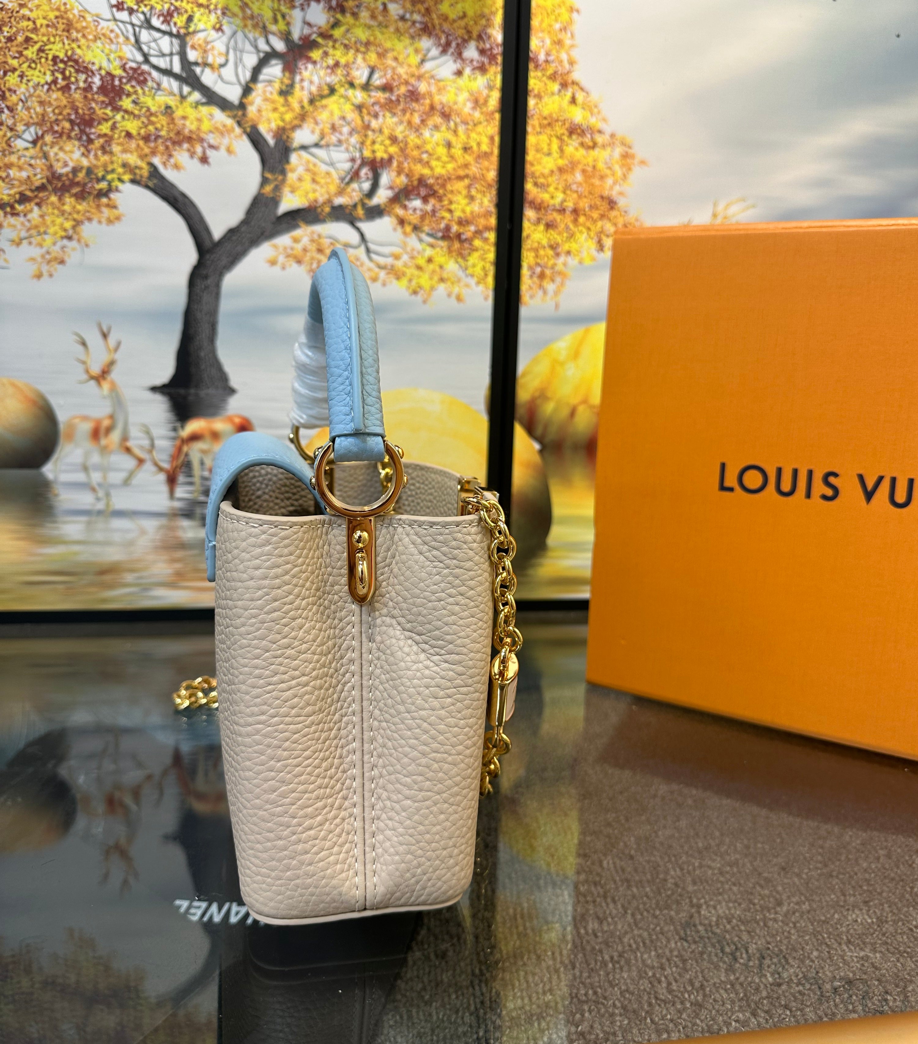 Louis Vuitton capucines mini bag