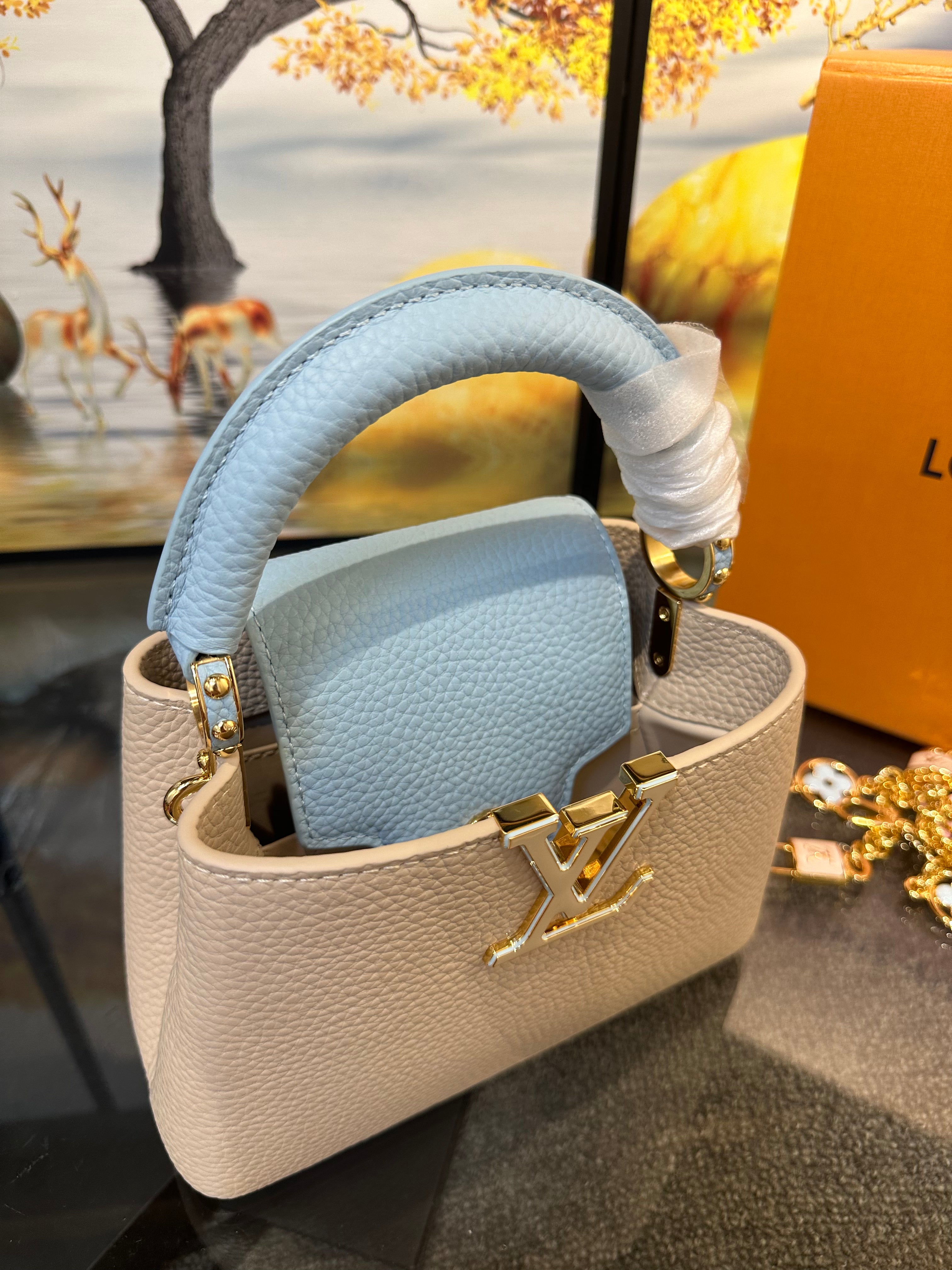 Louis Vuitton capucines mini bag