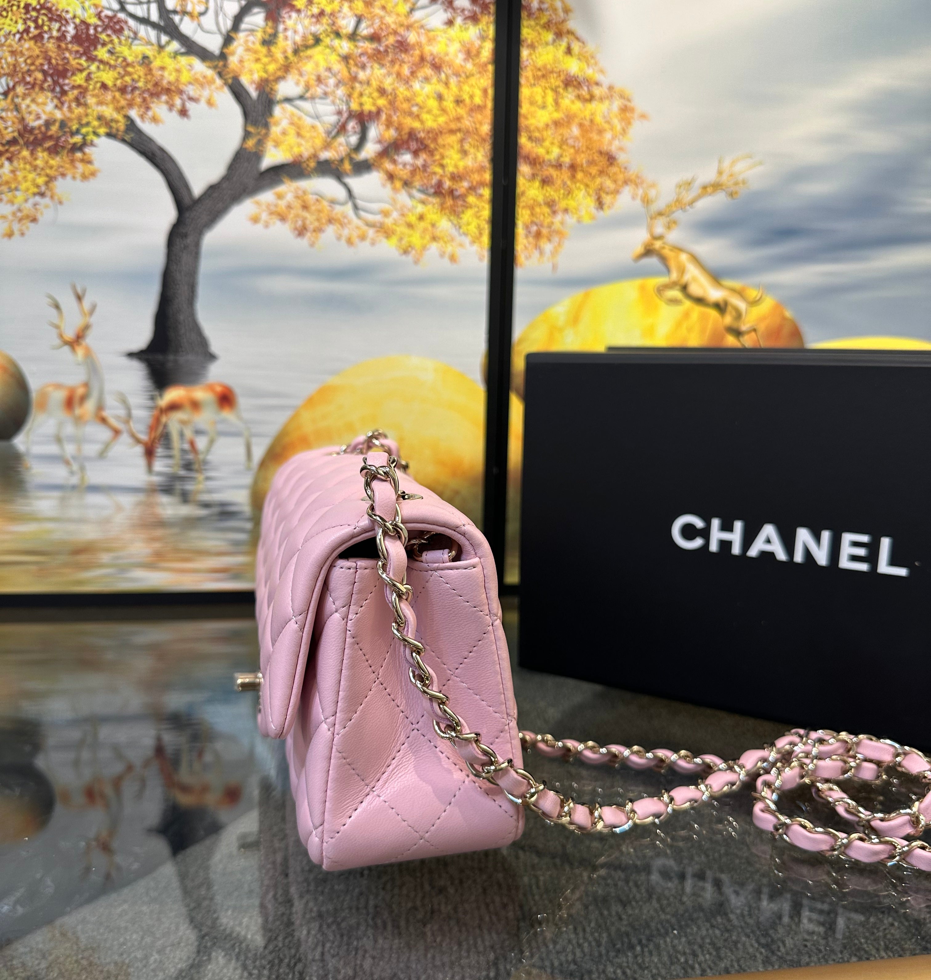 Chanel Small Classic Handbag 20cm