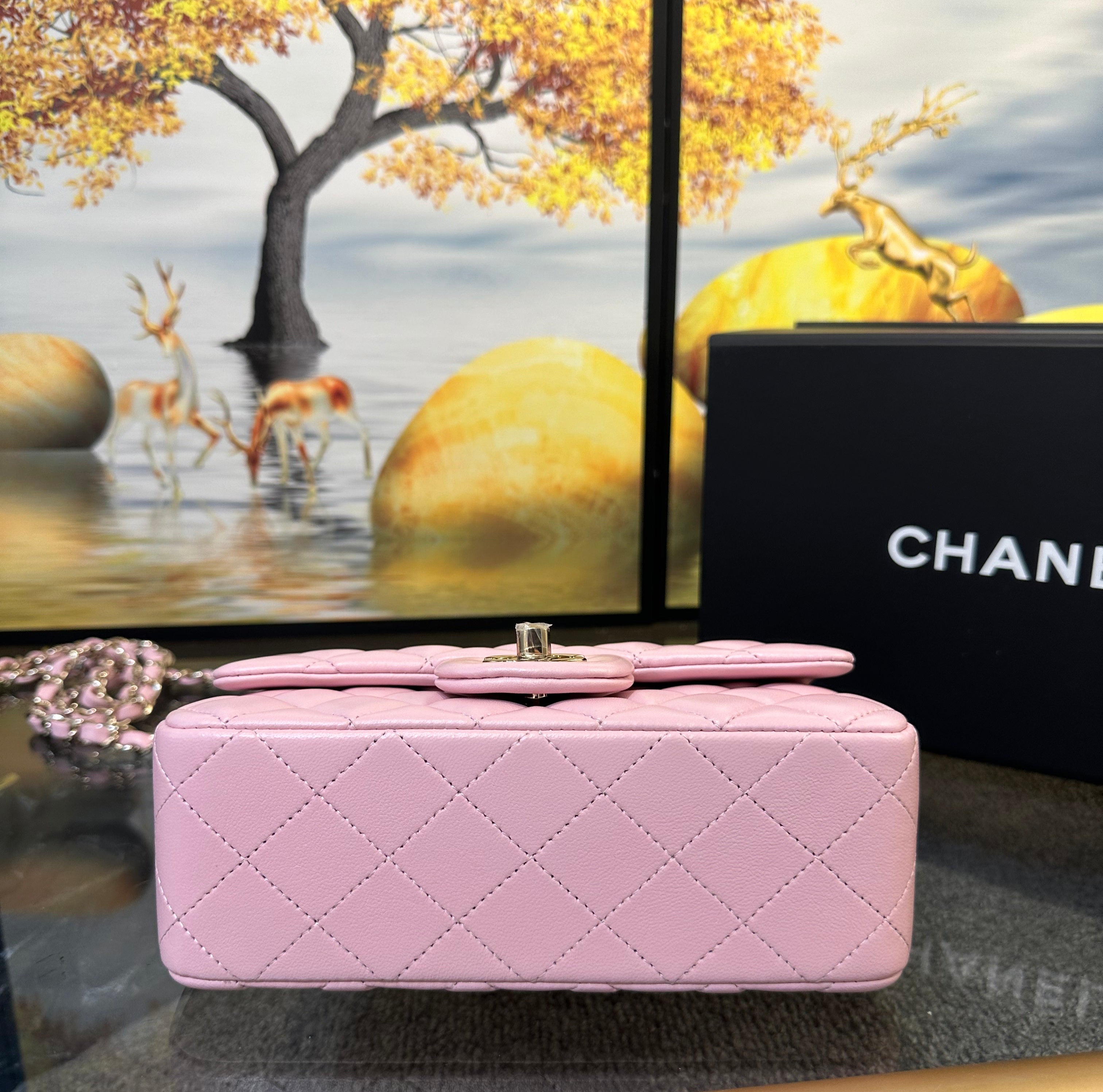 Chanel Small Classic Handbag 20cm