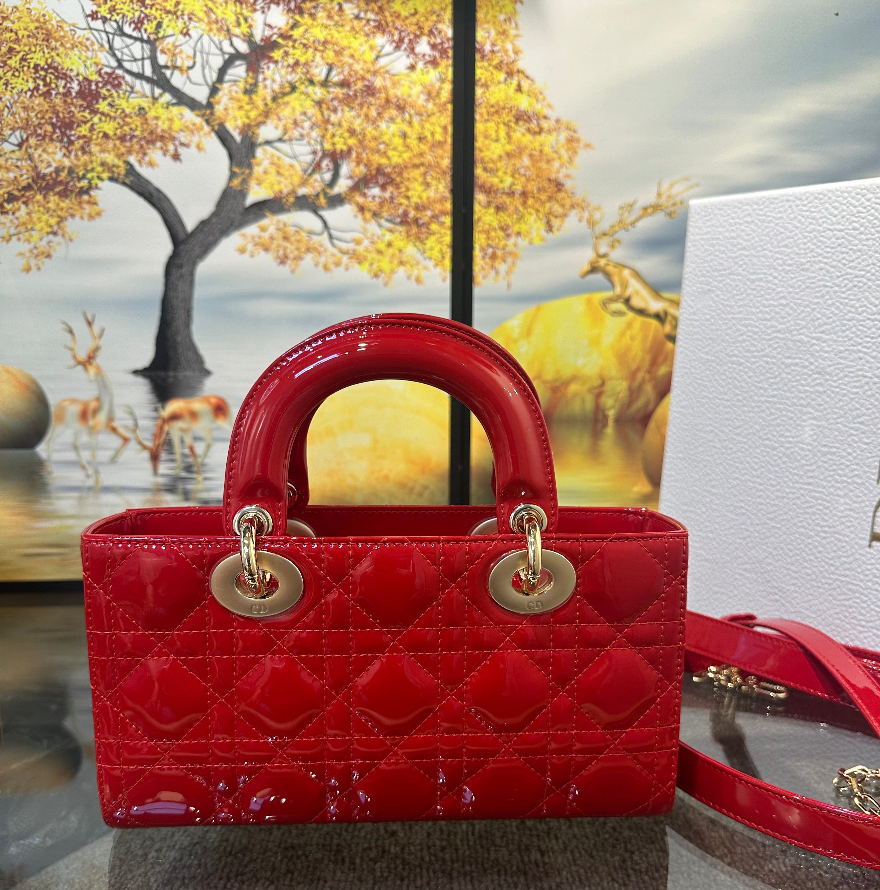 Dior Small Lady D-Joy bag