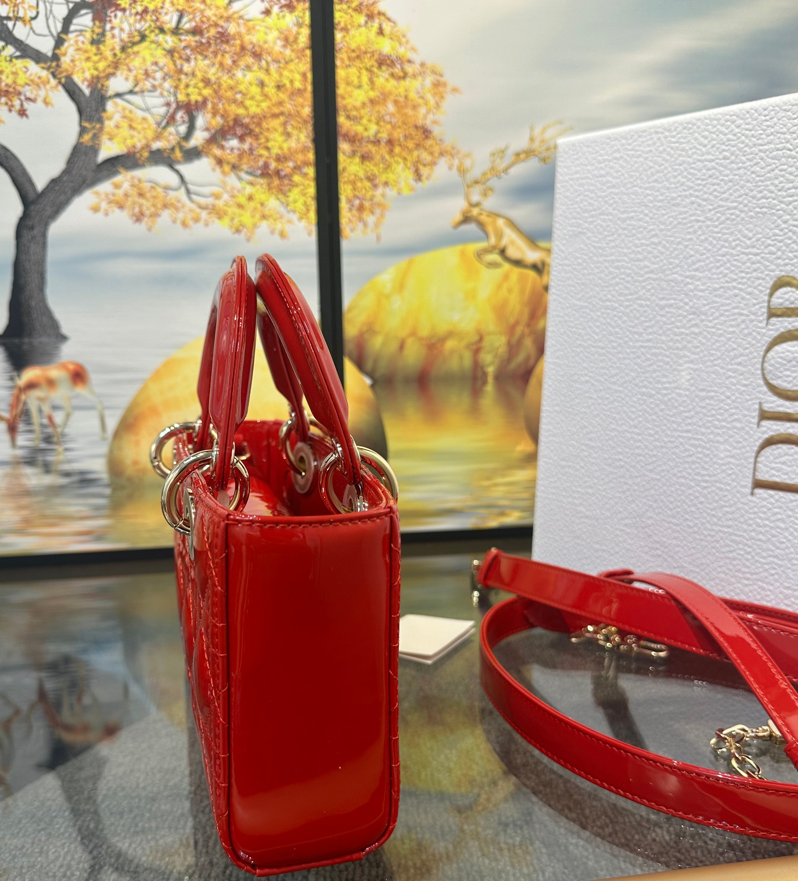 Dior Small Lady D-Joy bag