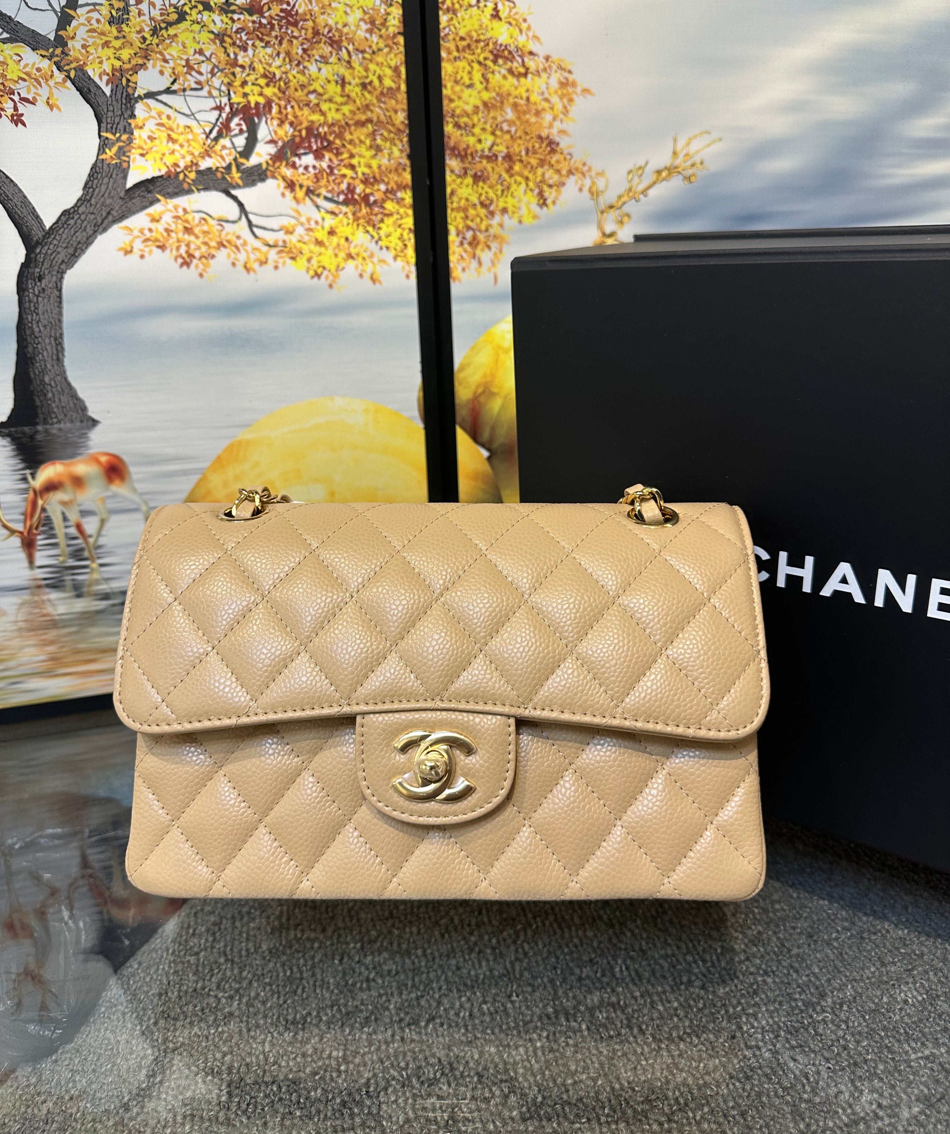 Chanel double flap bag