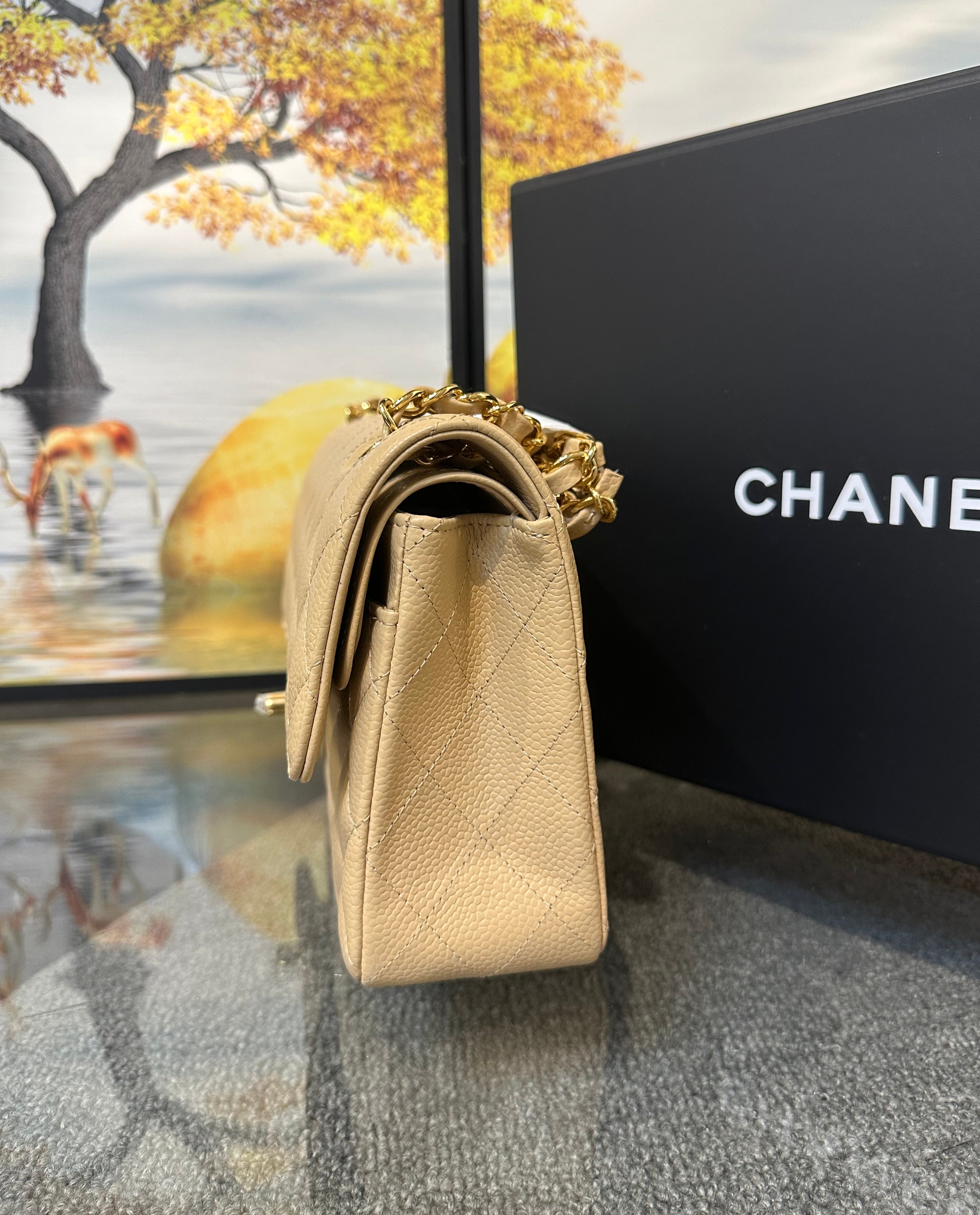 Chanel double flap bag