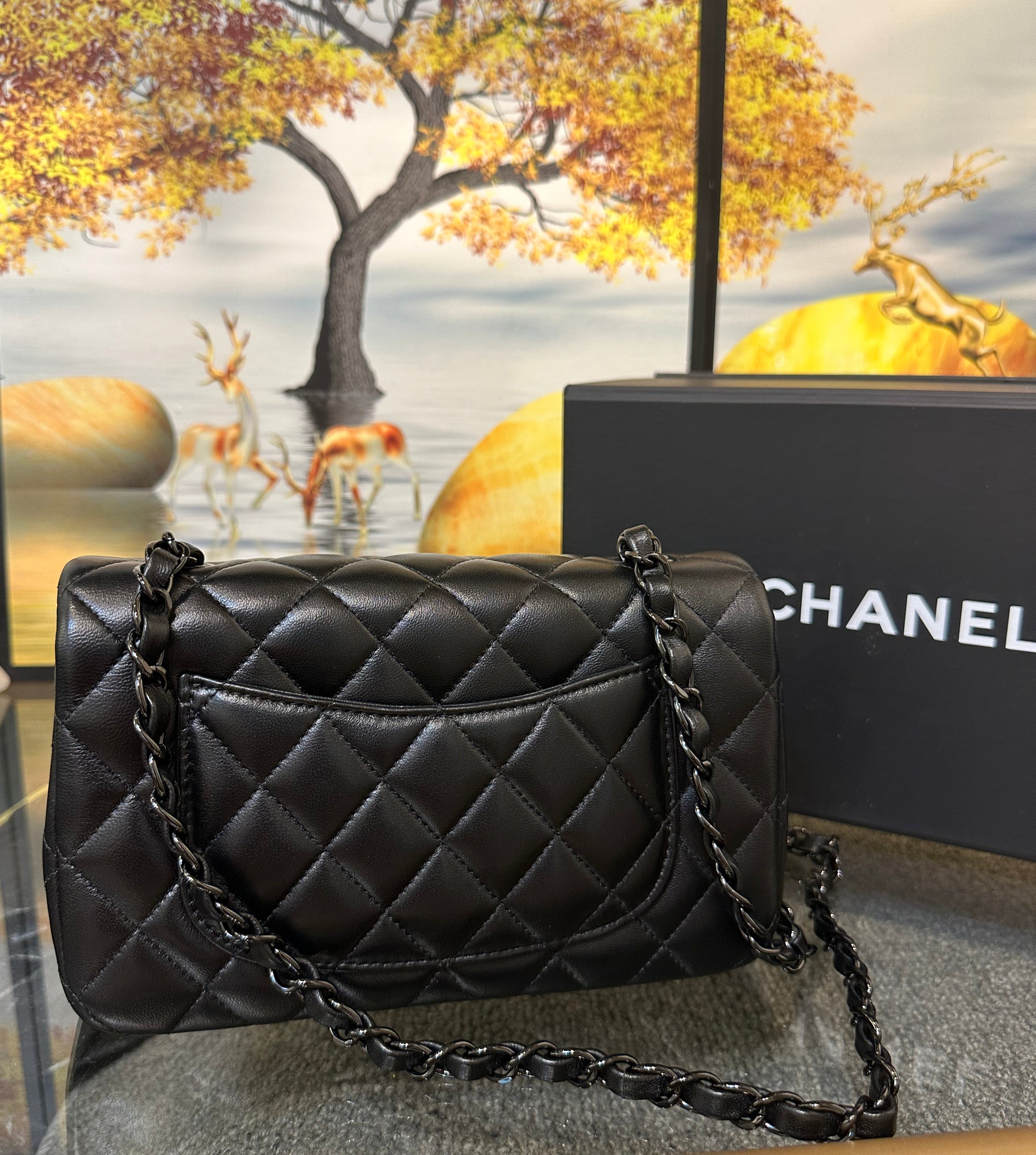 Chanel Small Classic Handbag 20cm