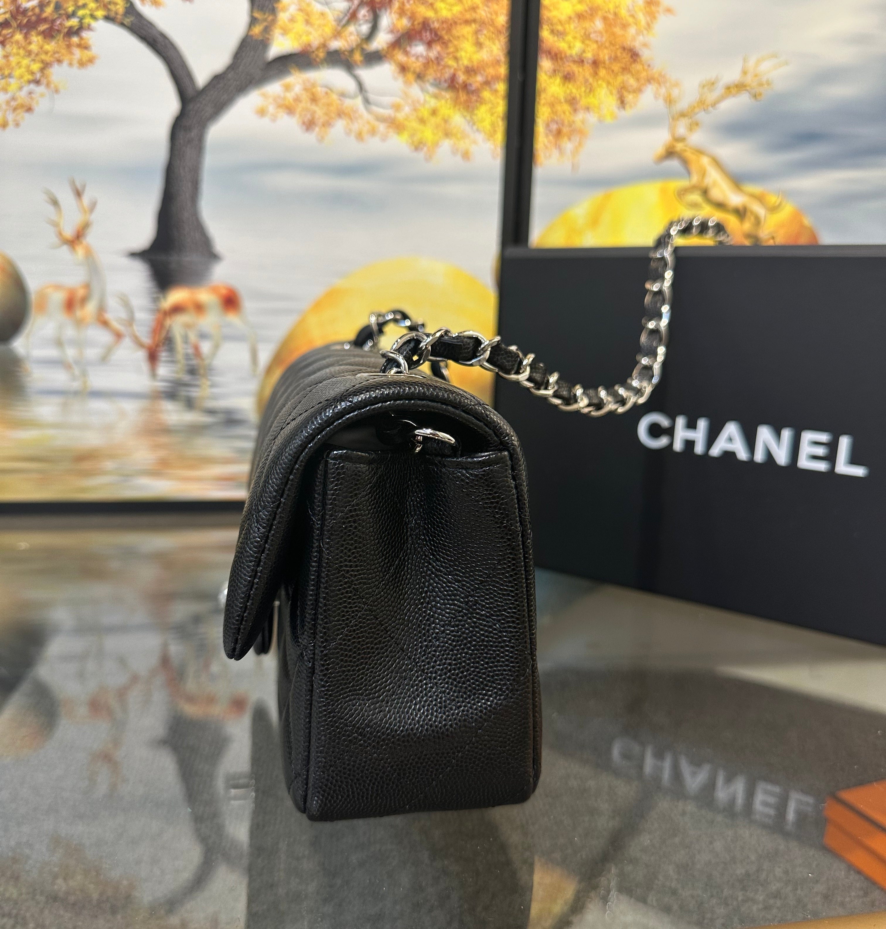 Chanel Small Classic Handbag 20cm