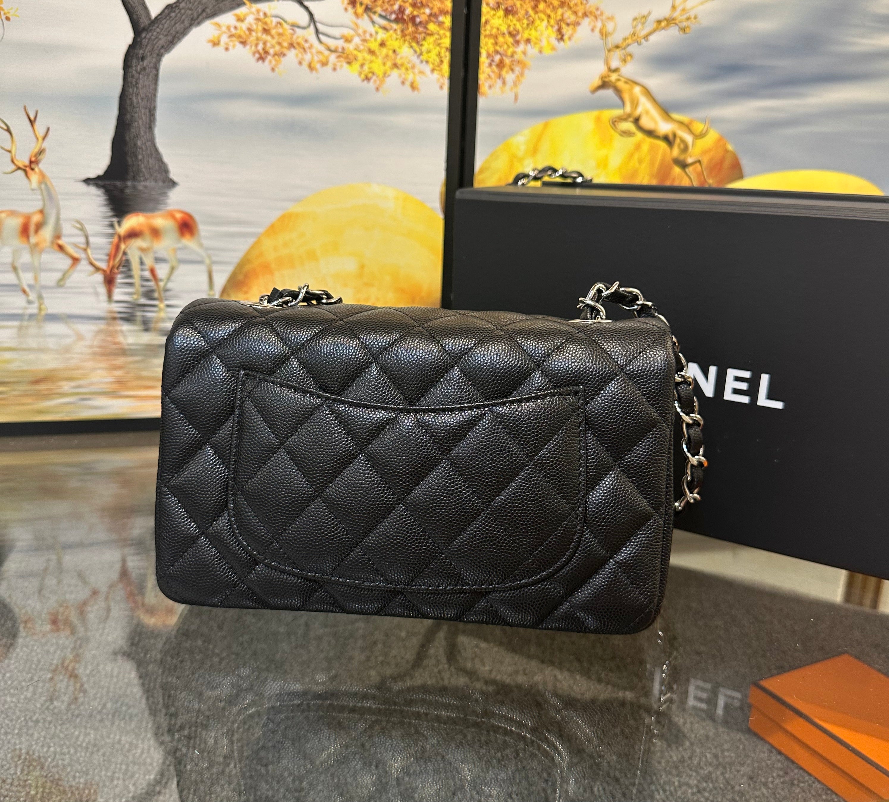 Chanel Small Classic Handbag 20cm