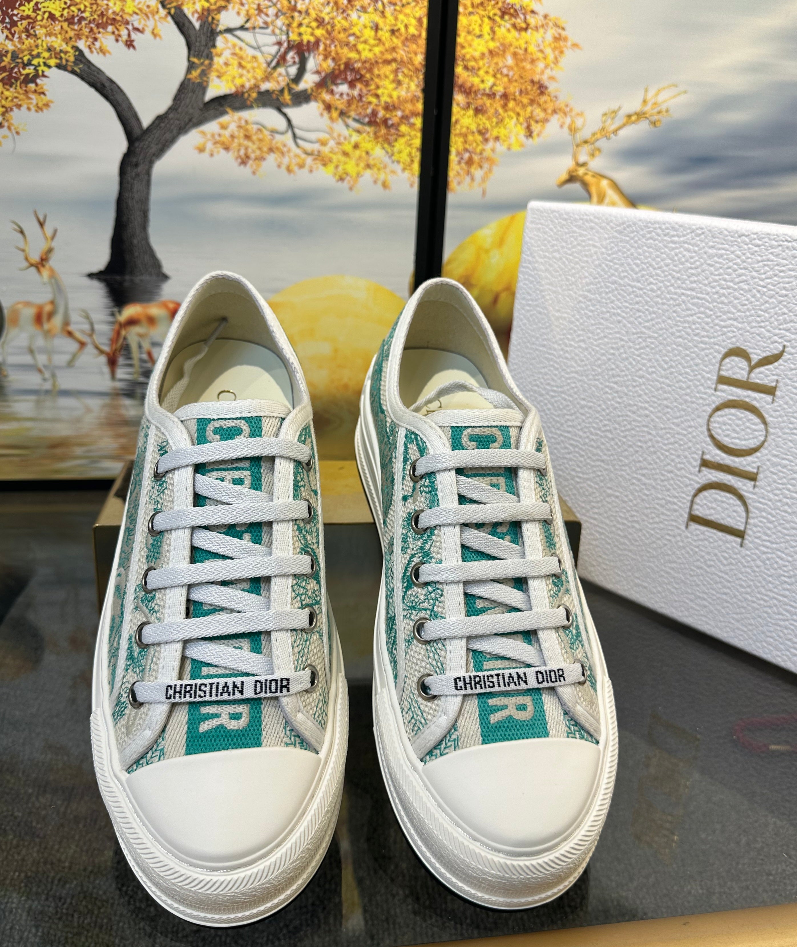 Walk 'in' dior sneakers