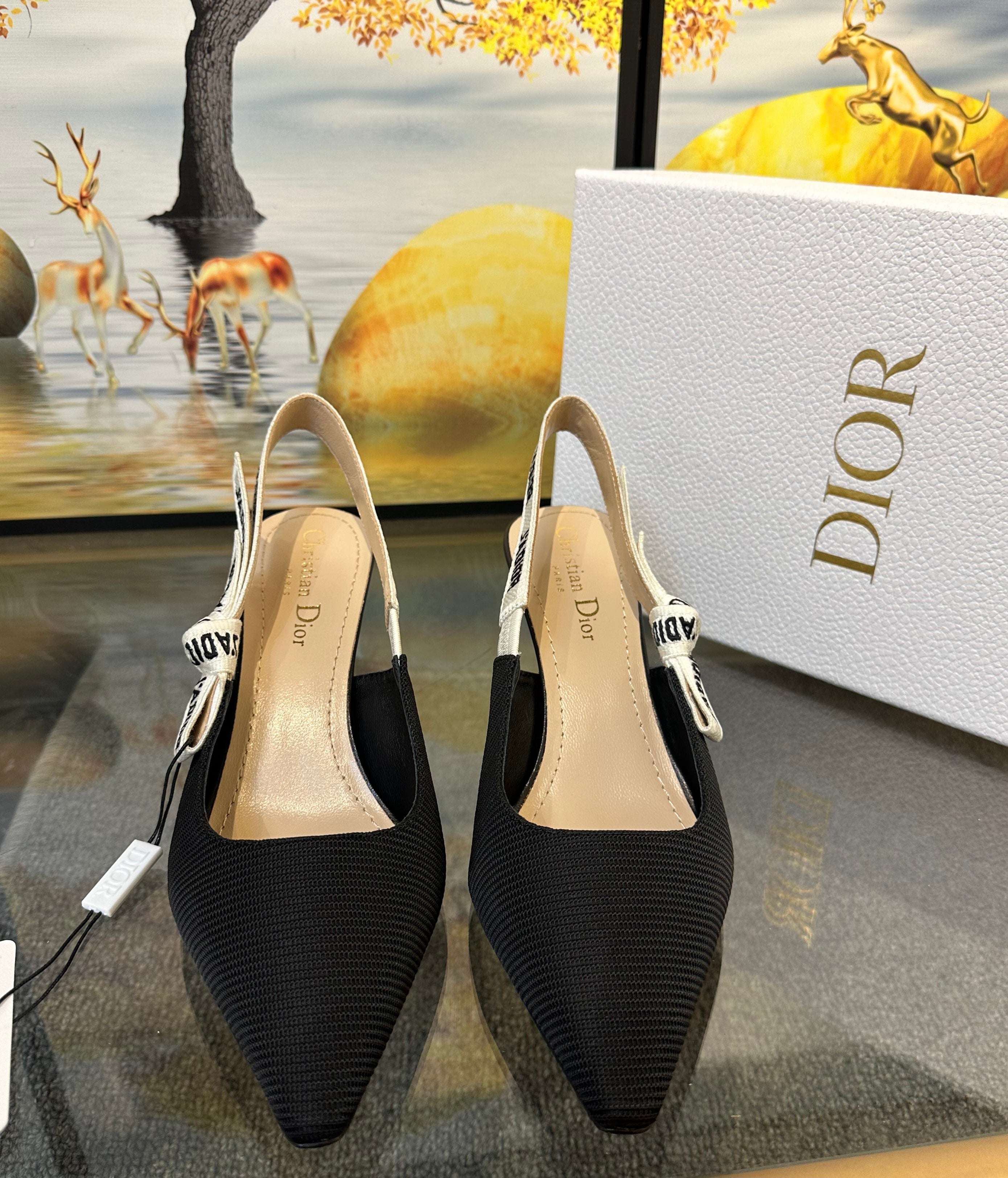 Dior slingback